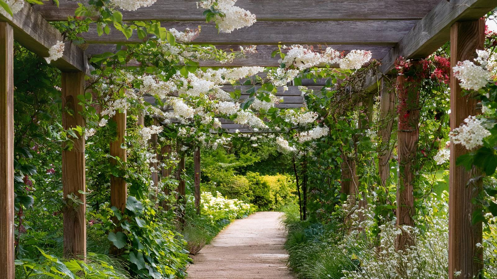 jardin-des-plantes-orleans